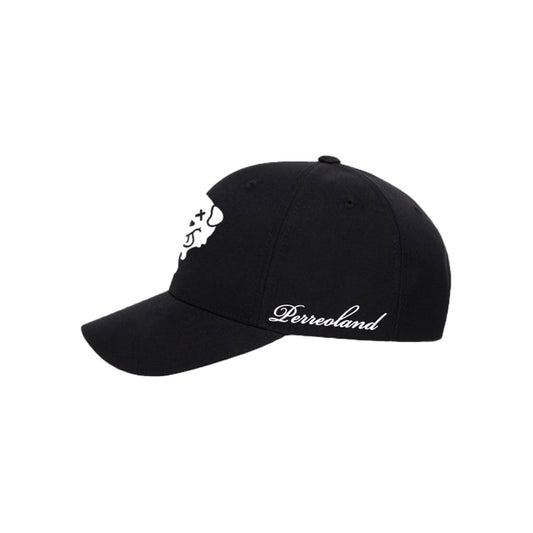 Snapback Hat